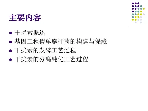 重组人干扰素生产工艺