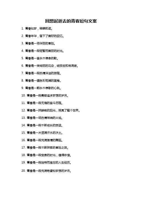 回想起逝去的青春短句文案