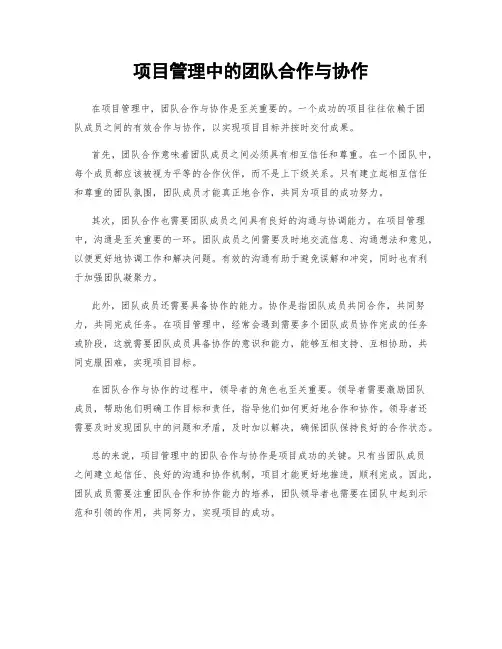 项目管理中的团队合作与协作
