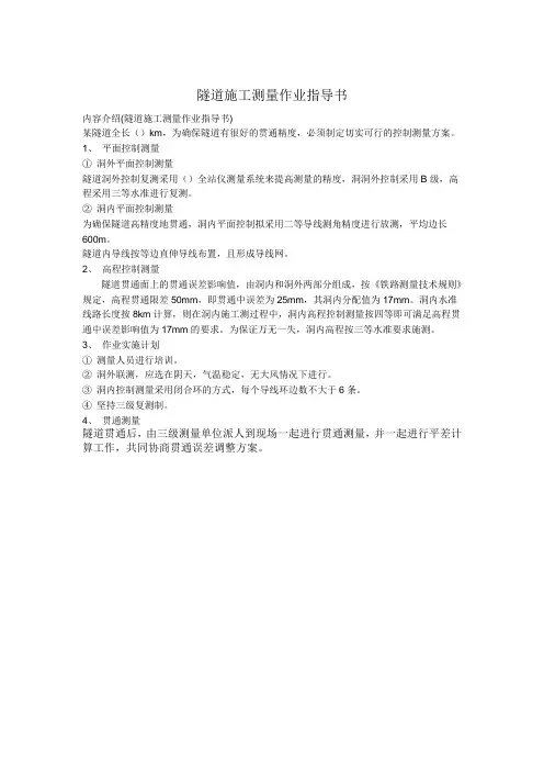 隧道施工测量作业指导书