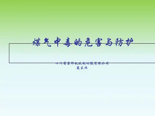 煤气中毒的危害与防护ppt课件