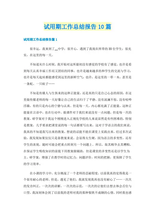 试用期工作总结报告10篇