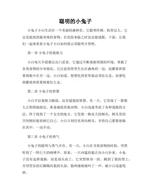 聪明的小兔子
