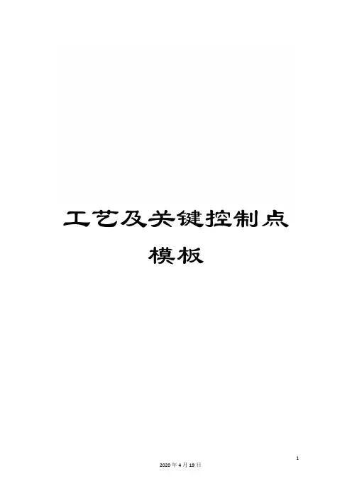 工艺及关键控制点模板