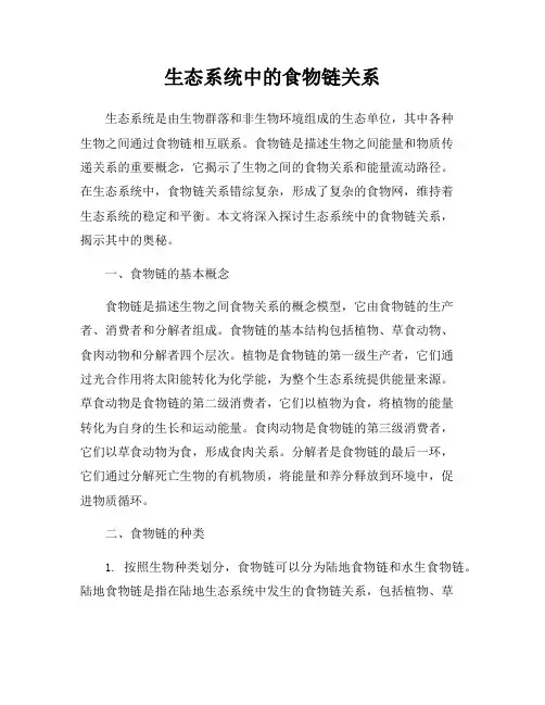 生态系统中的食物链关系