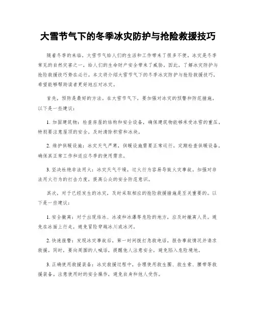 大雪节气下的冬季冰灾防护与抢险救援技巧
