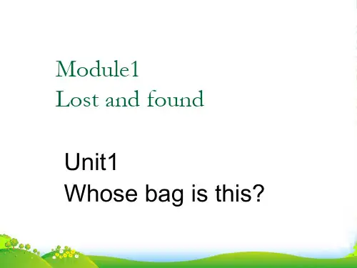 外研版七年级英语下册Module1 Unit1 Whose bag is this优课件