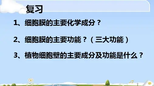 高一必修一生物课件：3.2细胞器—系统内的分工合作 (共38张PPT)