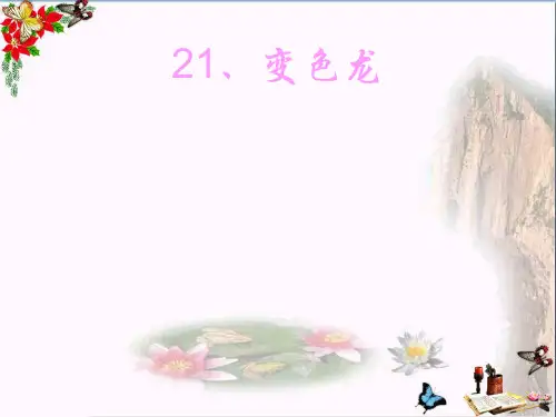 (精选)六年级科学上册变色龙ppt课件6青岛版
