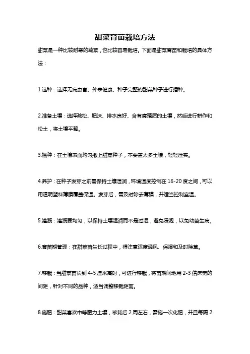 甜菜育苗栽培方法