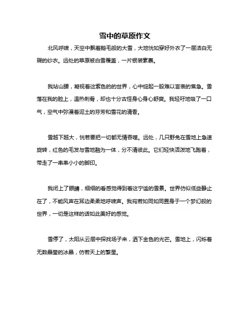 雪中的草原作文