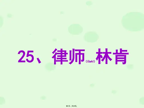 25律师林肯(共29张)