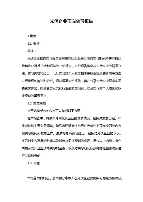光伏企业顶岗实习报告