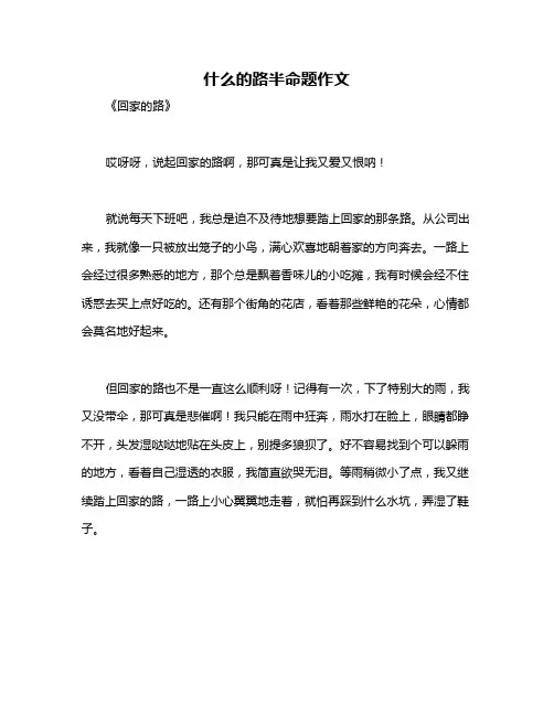 什么的路半命题作文