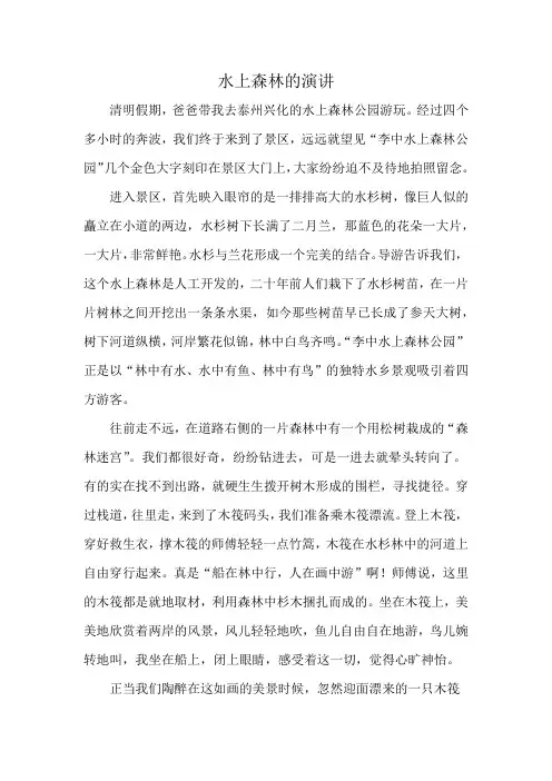 水上森林的演讲