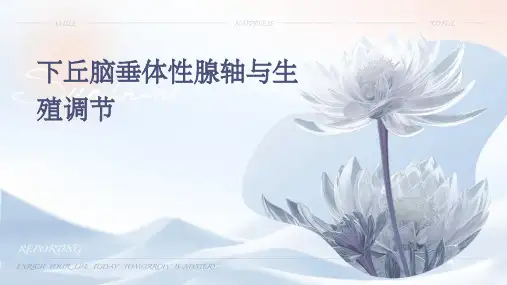 下丘脑垂体性腺轴与生殖调节