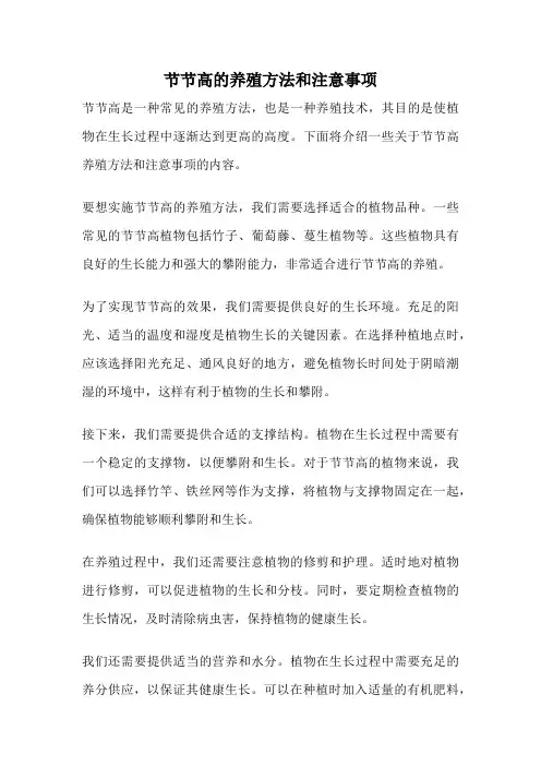 节节高的养殖方法和注意事项