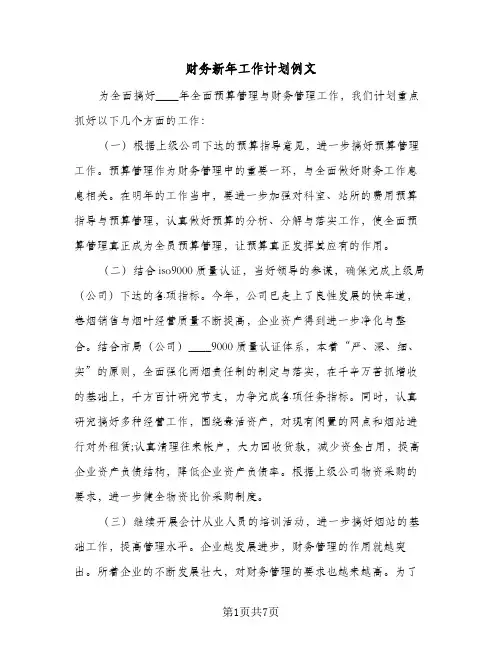 财务新年工作计划例文（3篇）