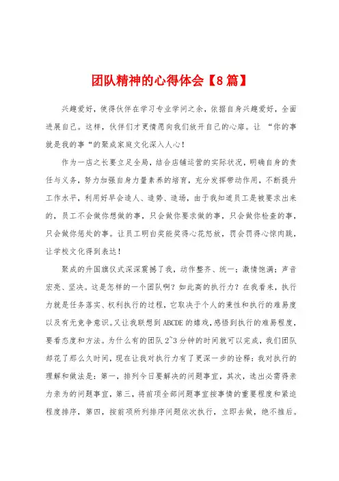 团队精神的心得体会