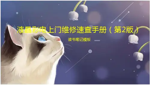 液晶彩电上门维修速查手册(第2版)