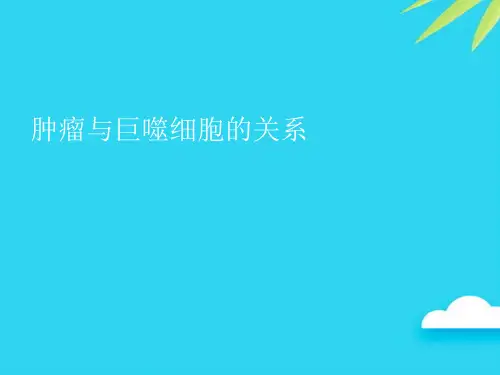 【正式版】肿瘤与巨噬细胞的关系PPT