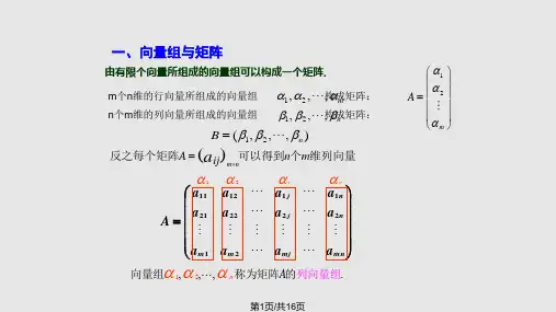 向量组与矩阵