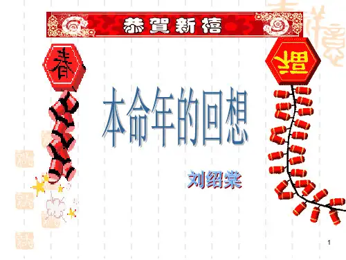 本命年的回想PPT课件