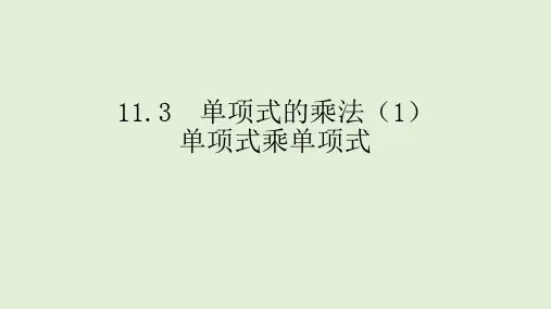 青岛版七年级数学下册课件11.3 单项式的乘法