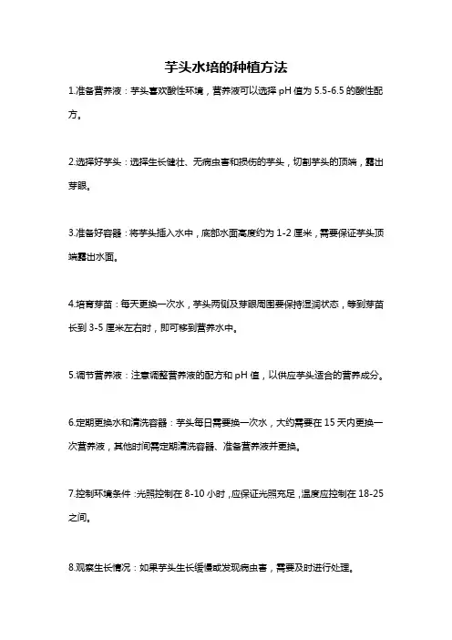 芋头水培的种植方法