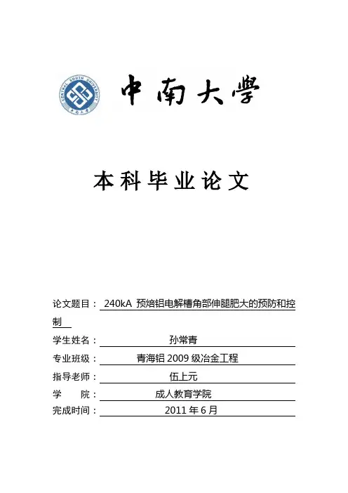 孙常青--240kA预焙铝电解槽角部伸腿肥大的预防和控制