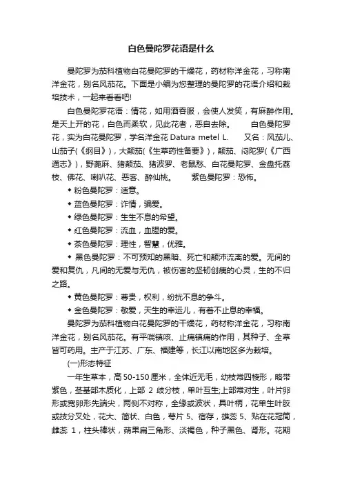 白色曼陀罗花语是什么