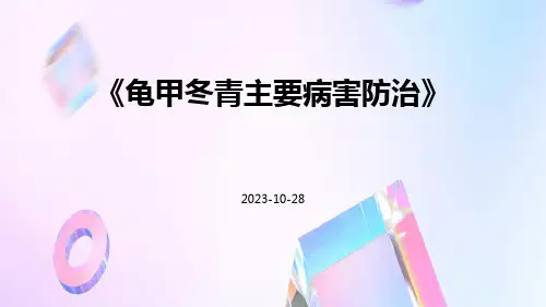龟甲冬青主要病害防治