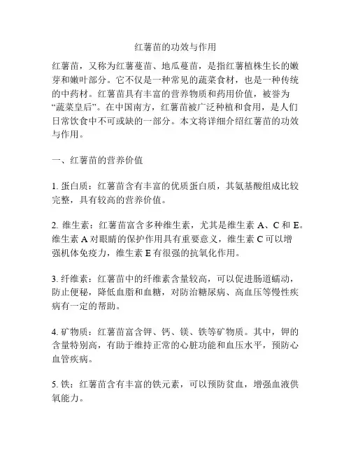 红薯苗的功效与作用