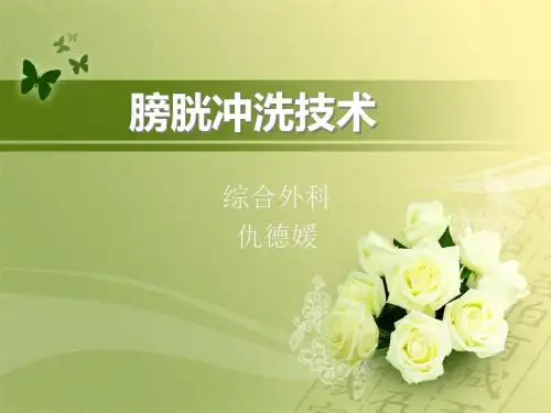 膀胱冲洗技术