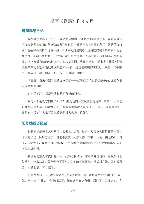 描写《鹦鹉》作文6篇