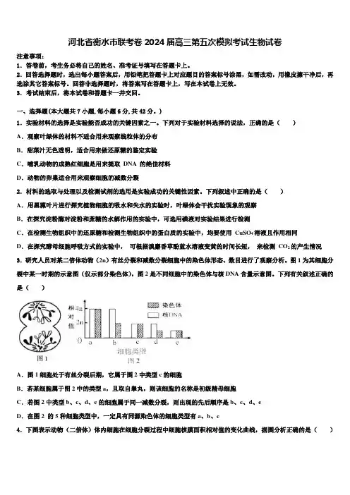 河北省衡水市联考卷2024届高三第五次模拟考试生物试卷含解析
