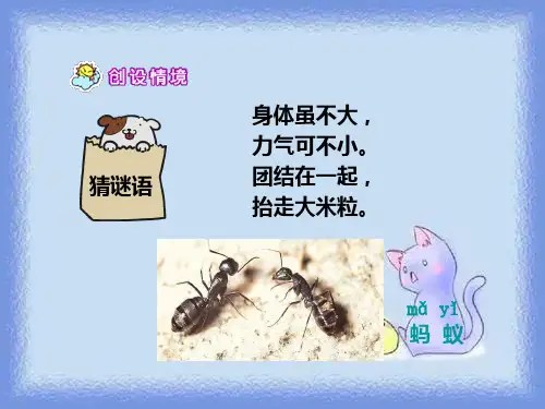 语文一年级下册《蚂蚁和蝈蝈》优质课件