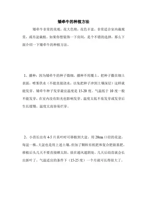 矮牵牛的种植方法.doc