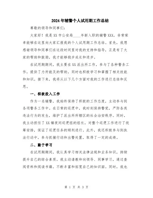 2024年辅警个人试用期工作总结