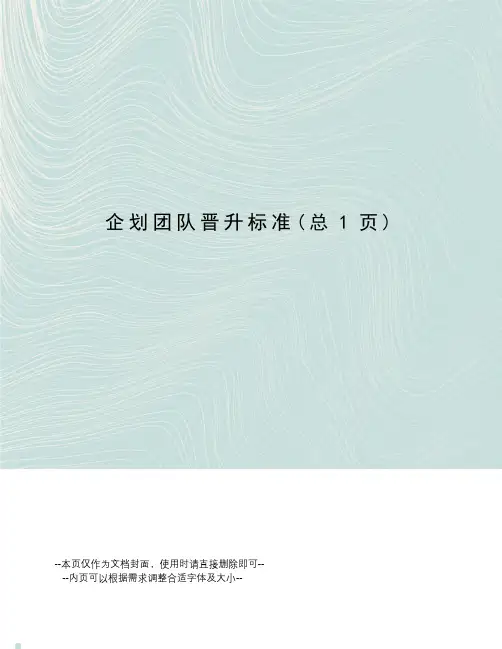 企划团队晋升标准
