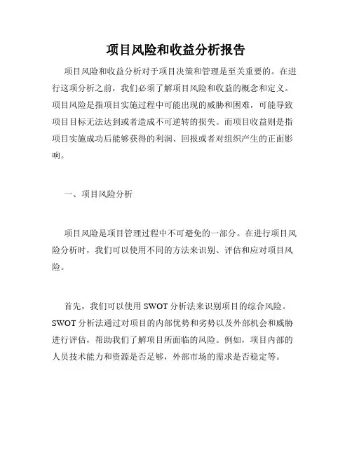 项目风险和收益分析报告