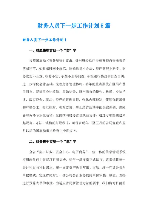 财务人员下一步工作计划5篇