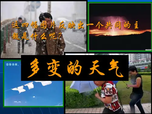 我的多变天气