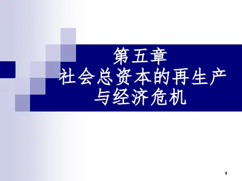 社会总资本的再生产与经济危机PPT课件