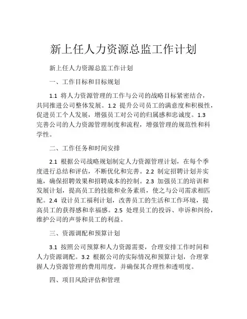 新上任人力资源总监工作计划