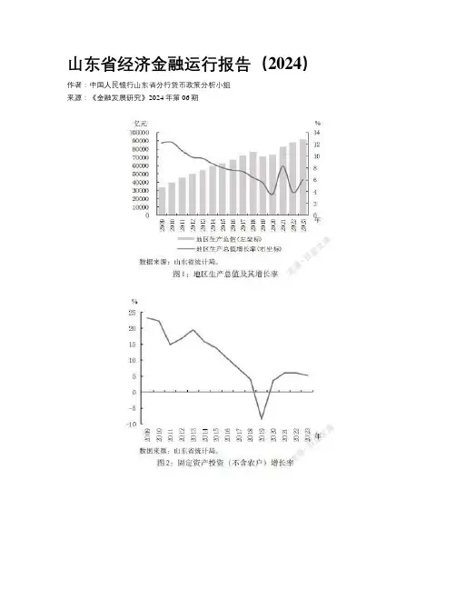 山东省经济金融运行报告（2024）