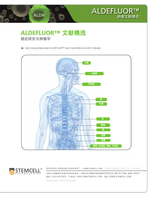 Aldefluor肿瘤文献精选