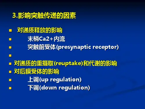 影响突触传递的因素