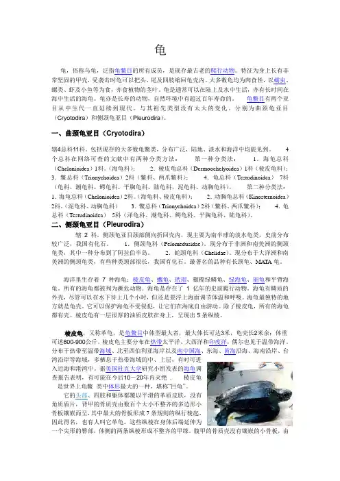 龟
