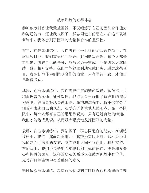 破冰训练的心得体会
